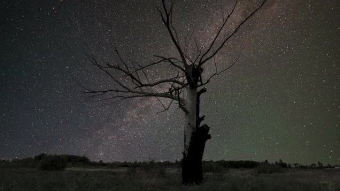 星空和星系背景上的剪影树。移动银河系的时间流逝。