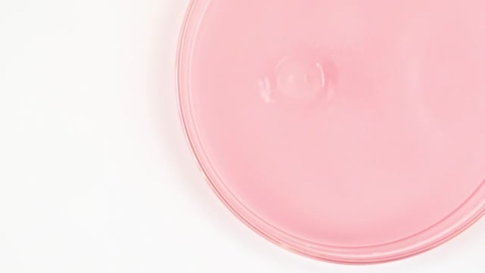 透明粉红色化妆液缓慢滴入玻璃培养皿。化学实验室研究。天然有机化妆品、药物的宏观拍摄。生产特写。