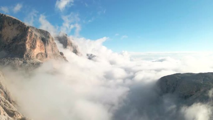 山区牧场绵羊的鸟瞰图