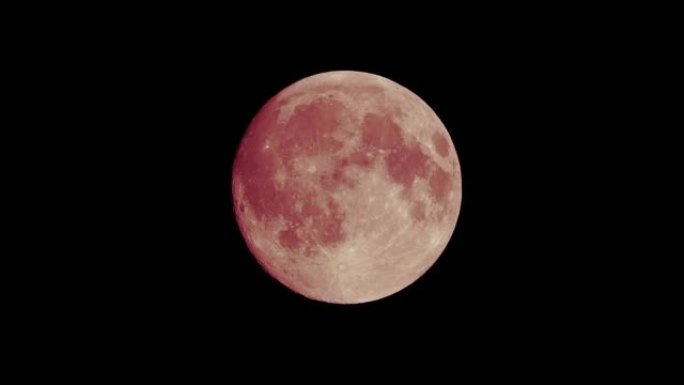 黑色天空背景下的红色满月，用很长的长焦镜头从地球表面拍摄。月亮在晴朗的天空发光的特写镜头。
