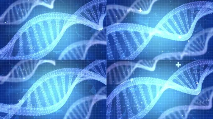 未来DNA分析过程运动图形循环背景的详细数字界面。