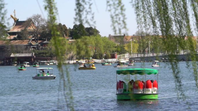 公园湖中一艘龙船驶过一只莲花造型船驶来