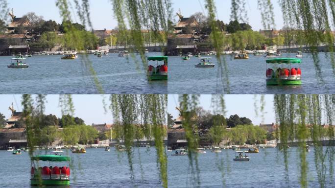 公园湖中一艘龙船驶过一只莲花造型船驶来