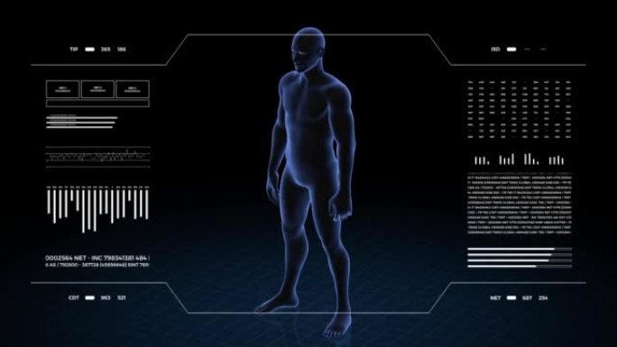 胃部病变的人。男孩的3d身体。男性人体结构的旋转动画和特写。