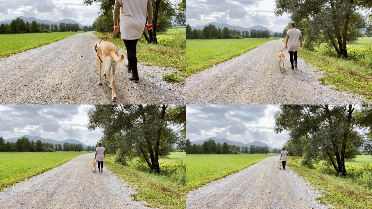 SLO MO女人在碎石路上walking狗