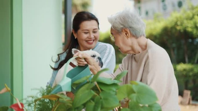 在家浇灌户外植物的高级女性