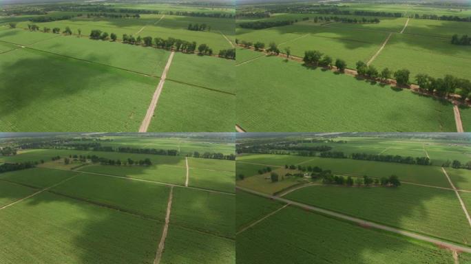 路易斯安那州大约2019年。路易斯安那州农田的鸟瞰图。用Cineflex万向节和红色8k摄像机从直升