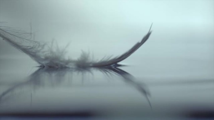 一只鸟的羽毛慢慢掉进水坑里，以电影的心情拍摄。当羽毛接触水时，会产生一些休克波