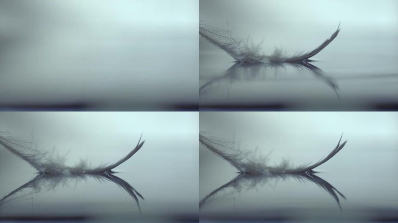 一只鸟的羽毛慢慢掉进水坑里，以电影的心情拍摄。当羽毛接触水时，会产生一些休克波