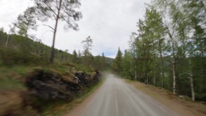 4WD越野汽车的观点: 在挪威的森林中