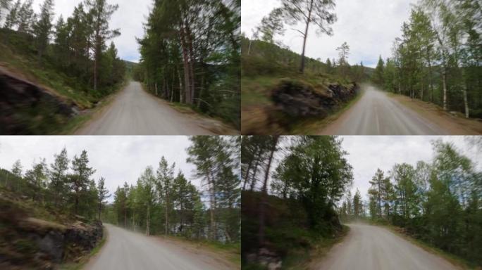 4WD越野汽车的观点: 在挪威的森林中