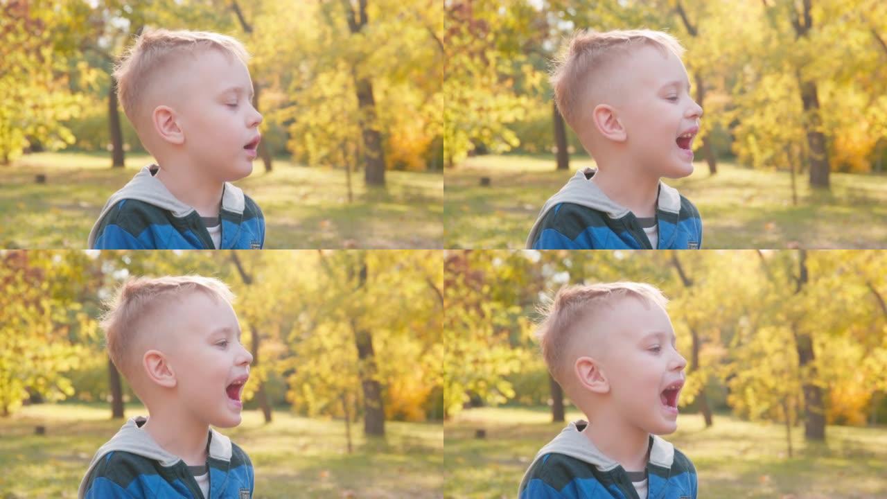 没有牙齿的小男孩在城市公园或森林里大声尖叫，因为他迷路了。金发小孩边走边唱。美丽的秋天树木，黄色的叶