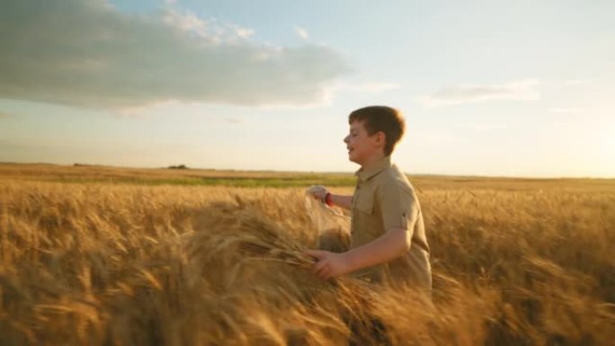 无忧无虑的小男孩，黑麦耳朵和带新鲜面包的细绳袋在金色的田野，农场和农业区奔跑