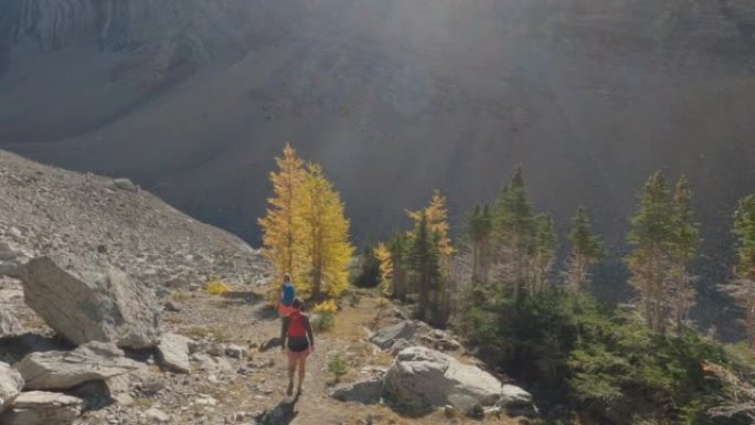 妇女与狗一起走过山区的高山落叶松森林
