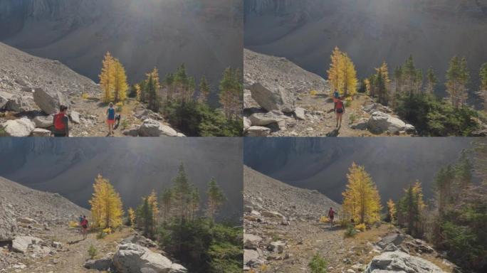 妇女与狗一起走过山区的高山落叶松森林