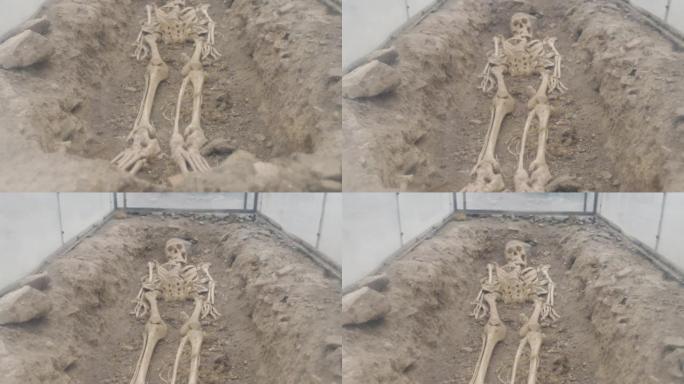 考古现场的假人类骨骼