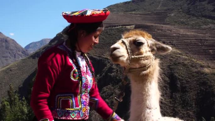 秘鲁年轻女子和她的美洲驼在秘鲁库斯科的圣谷