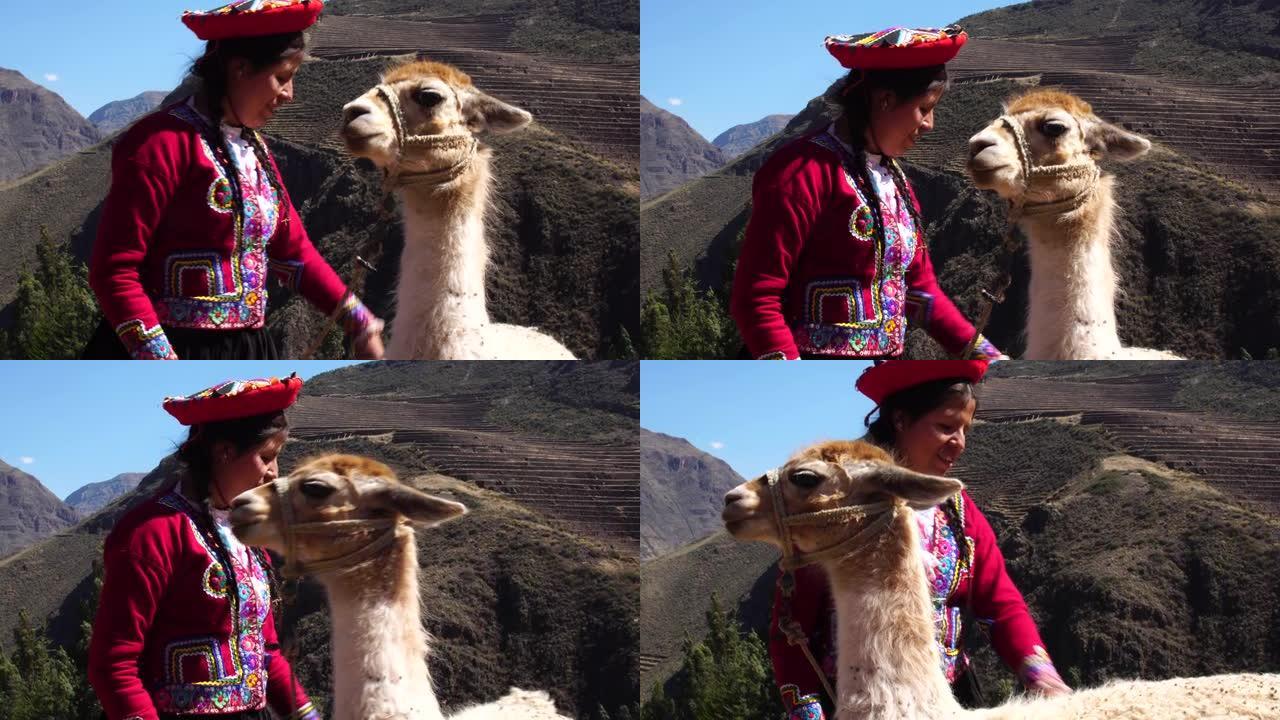 秘鲁年轻女子和她的美洲驼在秘鲁库斯科的圣谷