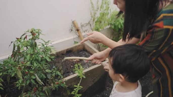 母子俩一起给植物浇水。