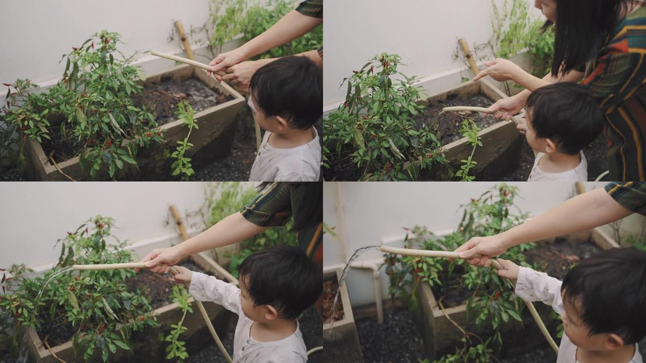 母子俩一起给植物浇水。