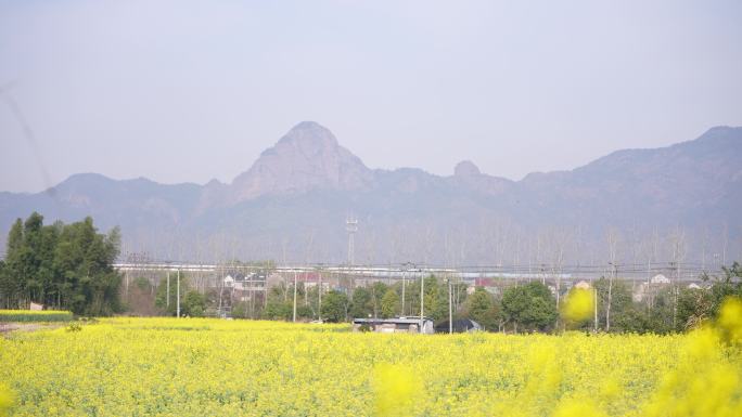 江南浙江诸暨牌头斗岩春天油菜花高铁动车