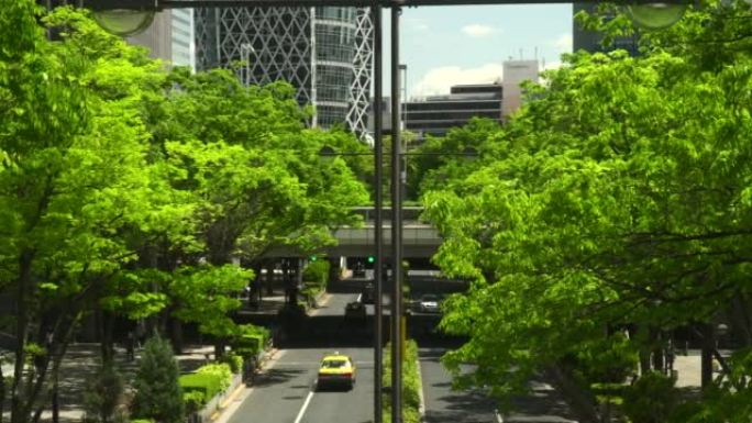 摩天大楼区和道路。拥有新鲜绿树的现代化办公楼