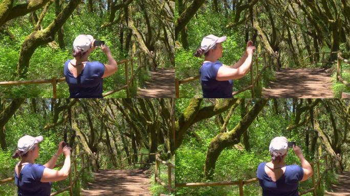 女人以4k慢动作60fps拍摄戈梅拉岛古月桂树森林的皮托