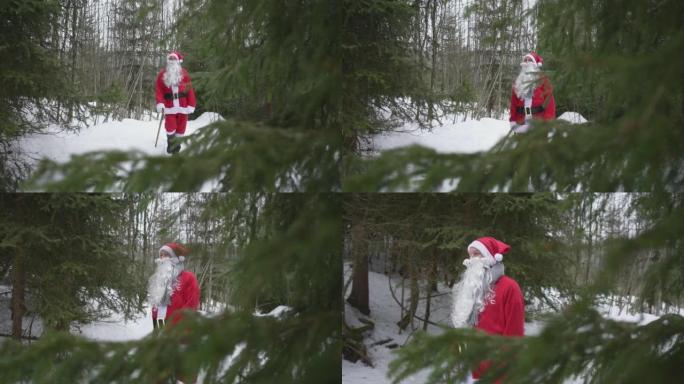 打扮成圣诞老人的男子with着拐杖穿过森林