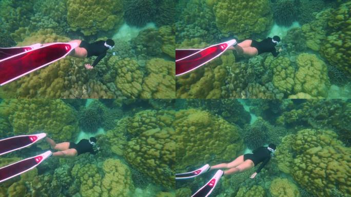 女人在水下自由潜水