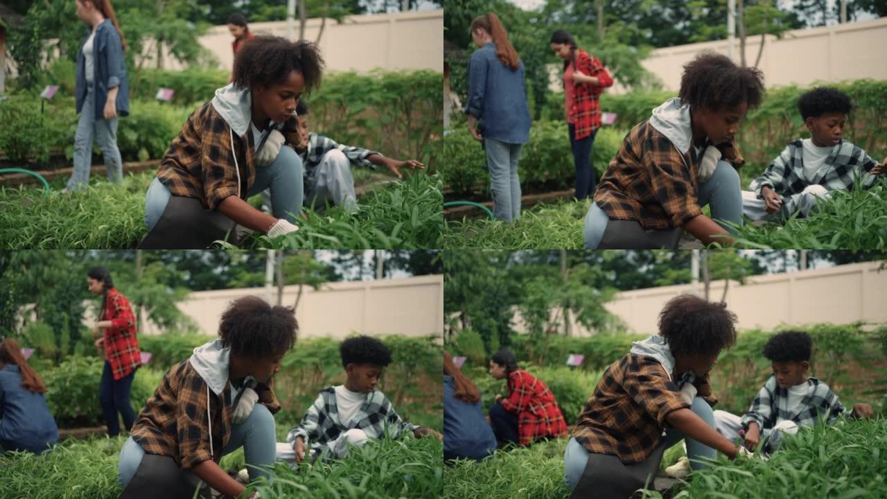 非洲少女在后院的城市花园中播种种子。