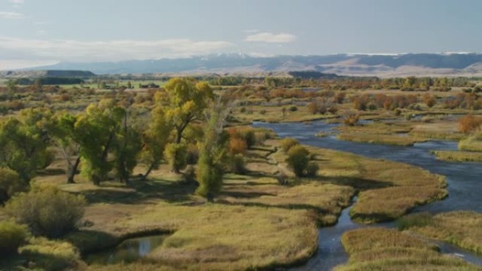麦迪逊河蜿蜒穿过蒙大拿州西南部麦迪逊山谷中不断变化的杨木，灌木橡树和草的明亮秋天色彩