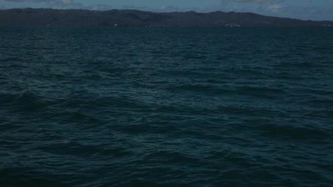 多米尼加共和国座头鲸跳跃的特写镜头，从水中突破。