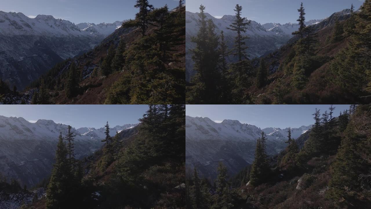 空中无人机拍摄了树线上方的雪山山脉
