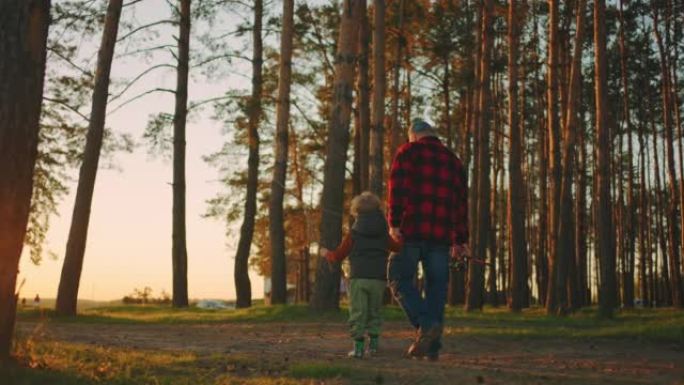 小男孩和他的父亲或爷爷在早晨或日落时在pinery散步，去钓鱼