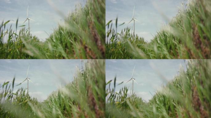 风力涡轮机: 可持续资源与未来