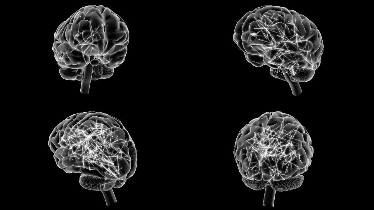 X射线风格的大脑有冲动，360旋转。
