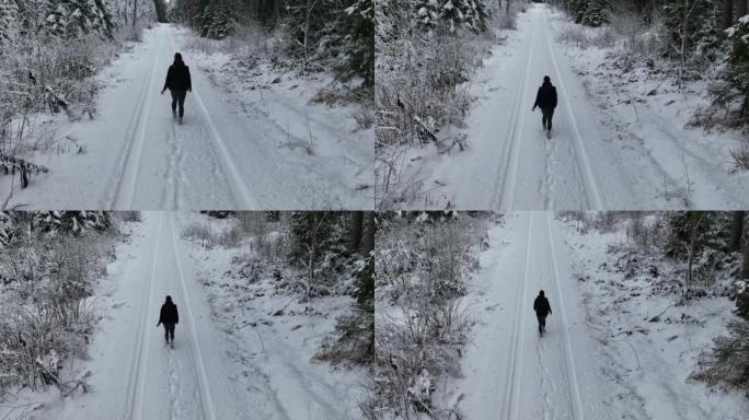 空中无人机拍摄了一名妇女在树林中沿雪道行走的镜头