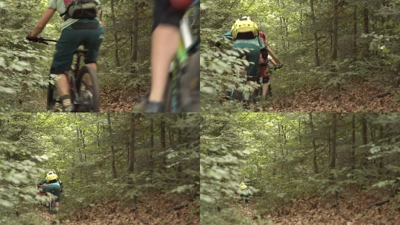 三个山地车骑在树林中的小路上