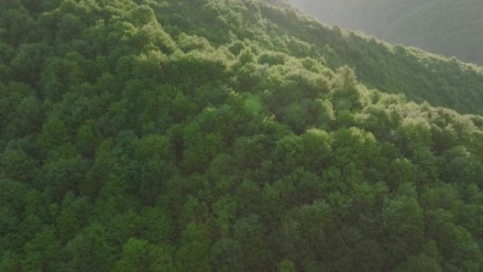 空中无人机可以看到郁郁葱葱的绿色森林，无尽的连绵起伏的山脉
