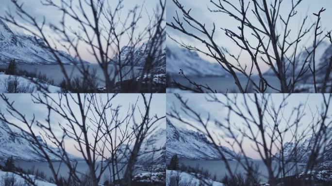 挪威特罗姆瑟的野生，原始自然，山脉和树木被雪覆盖