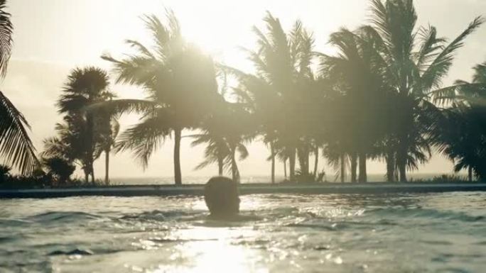 日落时，一名男子在棕榈树附近的游泳池中游泳的详细照片