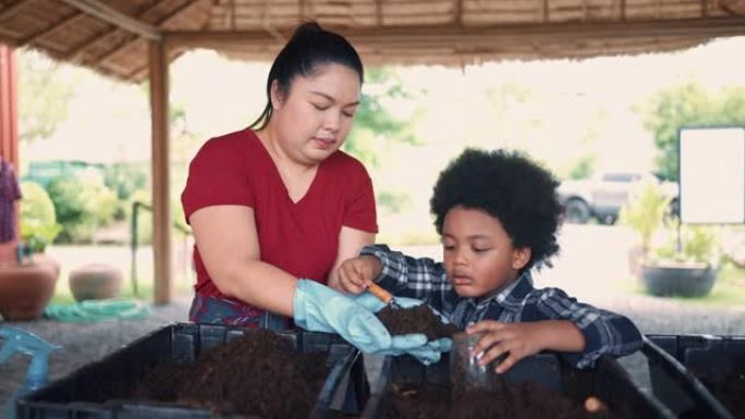 非洲男孩学习如何制作蚯蚓肥料