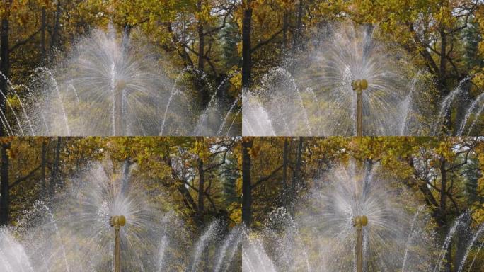 彼得霍夫在秋天，尼日公园。太阳喷泉。