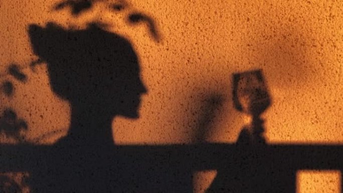 日落时，一名妇女喝着葡萄酒，她的轮廓反映在纹理的墙壁上