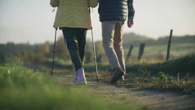相爱的老年夫妇在散步。北欧步行