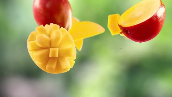 花园背景中的芒果和切片的飞行