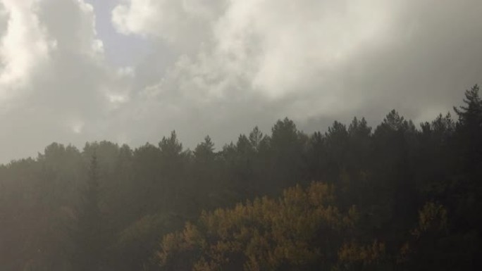 雨水倾泻在森林上倾盆大雨