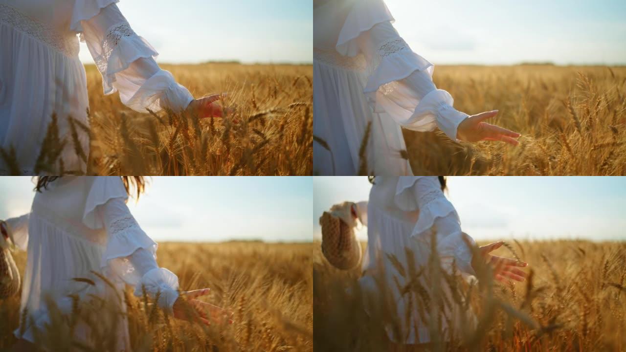 穿着白色乡村风格连衣裙的女人在金色的黑麦田野上奔跑，抚摸着成熟的耳朵，特写镜头