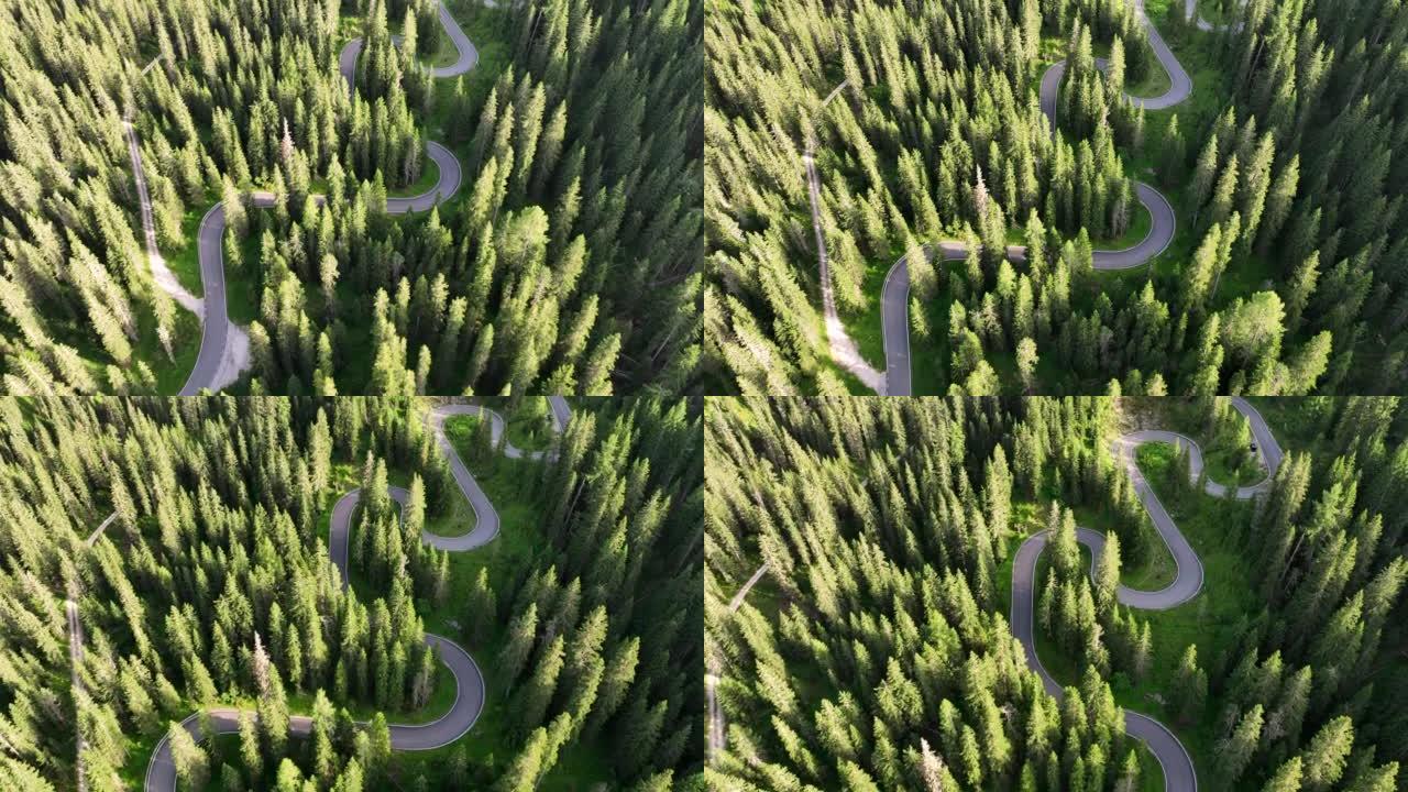 多洛米蒂国家公园森林山路的空中俯视图