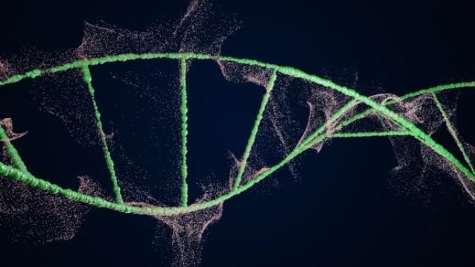 黑色背景上的浅绿色DNA链的4k视频，带有闪亮的光线。